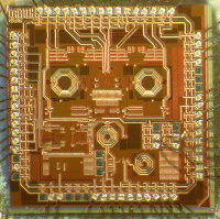RF Microchip