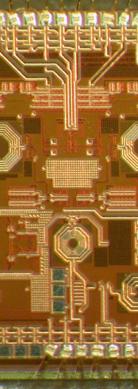 RF Microchip